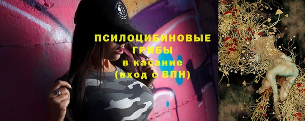 гидропоника Вяземский